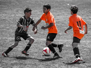 开云集团中国官网-NBA最佳新秀竞争激烈 三人数据旗鼓相当,nba最佳新秀含金量